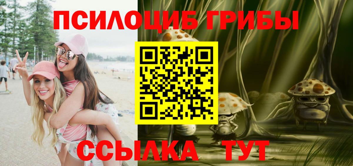 Галлюциногенные грибы прущие грибы  Вход с VPN  Псилоцибиновые грибы мухоморы  Котельники 