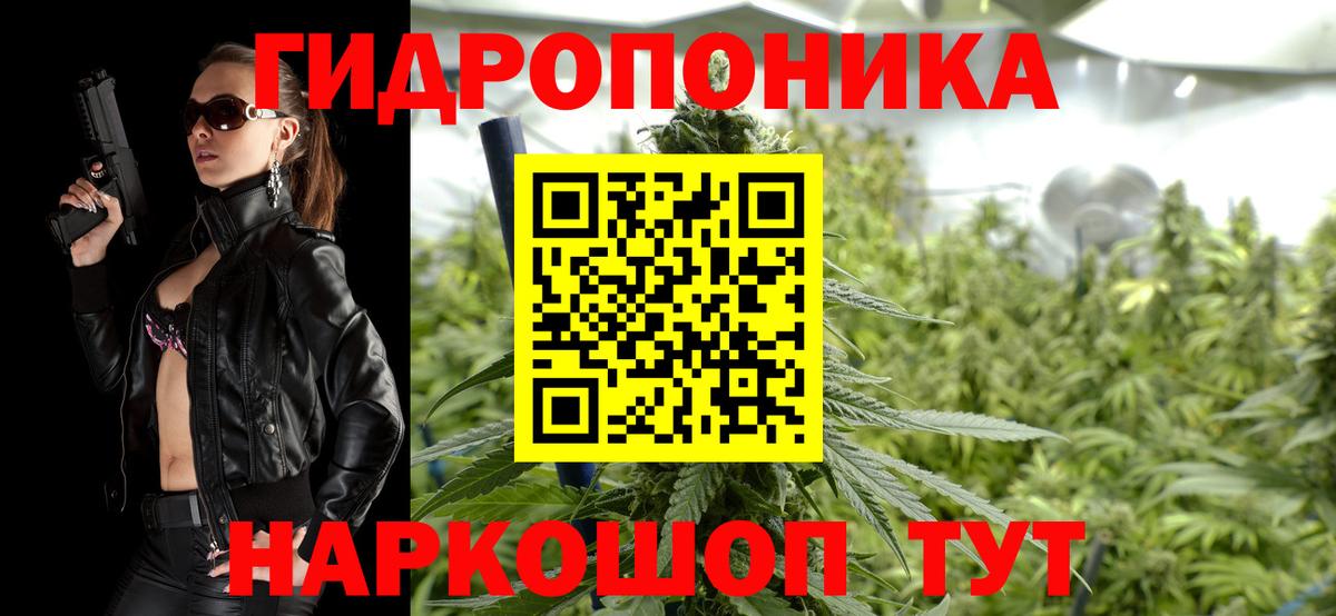 Котельники  Конопля гибрид  Вход с VPN  Каннабис SATIVA & INDICA 